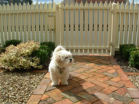 Sabina On Little Myers - Hotel NSW 24