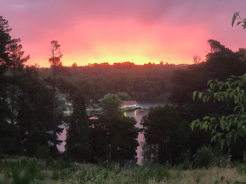 Minni Gums - Hotel NSW 2