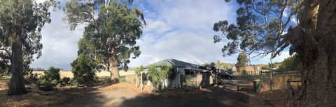 Minni Gums - Hotel NSW 11