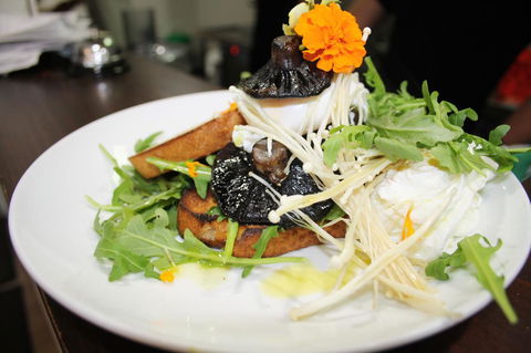 10 Hastings Street Motel - Hotel NSW 29