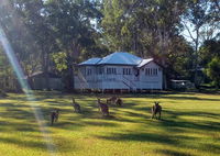 Book Peregian Beach Accommodation Vacations Hotel NSW Hotel NSW