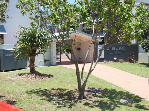 Whale Watch Ocean Beach Resort - Hotel NSW 14