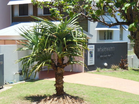 Whale Watch Ocean Beach Resort - Hotel NSW 15