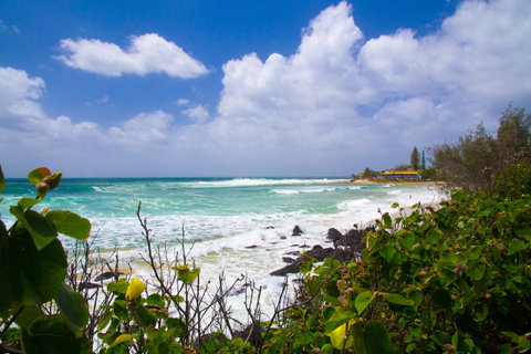Rainbow Bay Backpackers - Hotel NSW 0