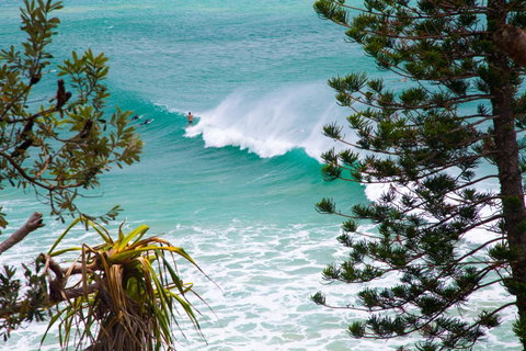 Rainbow Bay Backpackers - Hotel NSW 15