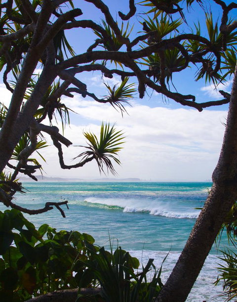 Rainbow Bay Backpackers - Hotel NSW 25