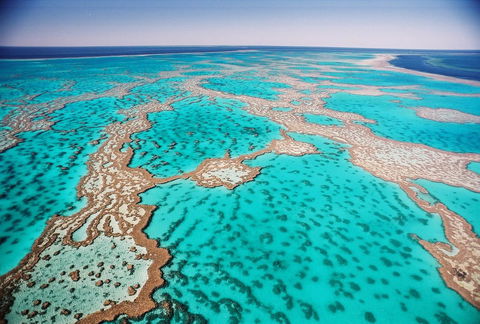 Poinciana 112 - Hotel NSW 20