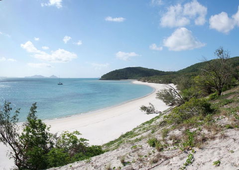 Poinciana 112 - Hotel NSW 27