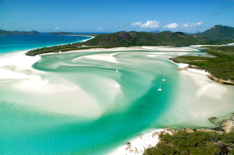 Poinciana 112 - Hotel NSW 19