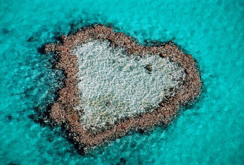 Poinciana 112 - Hotel NSW 21