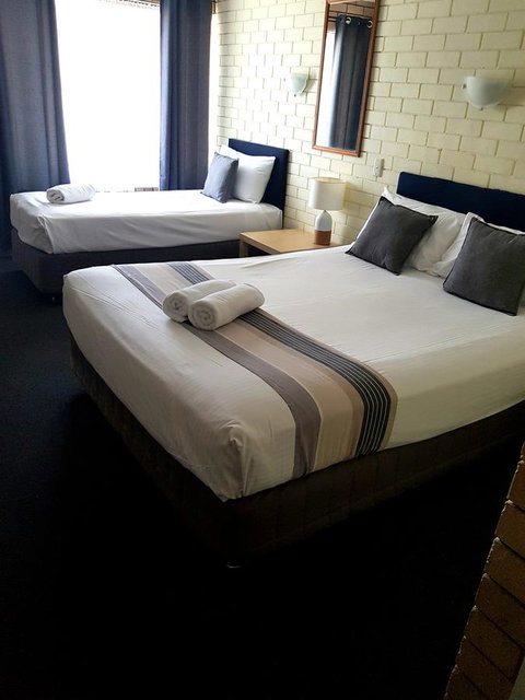 Twin Pines Motel - Hotel NSW 3