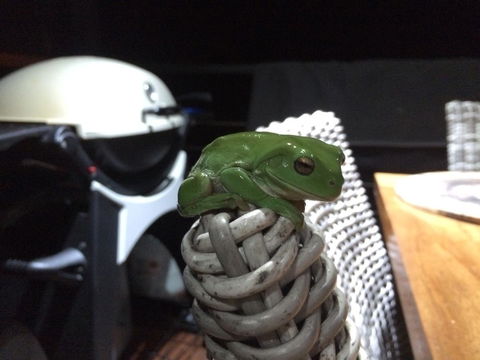 Bed & Breakfast 1 Bedroom Guest House - Hotel NSW 43