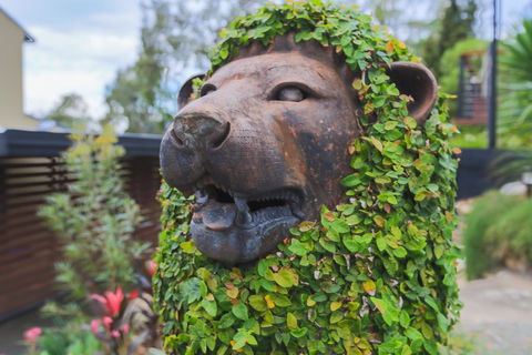 Bed & Breakfast 1 Bedroom Guest House - Hotel NSW 44