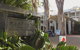 Palm Cove Paradise - Couples Spa Beach Getaway - thumb 2