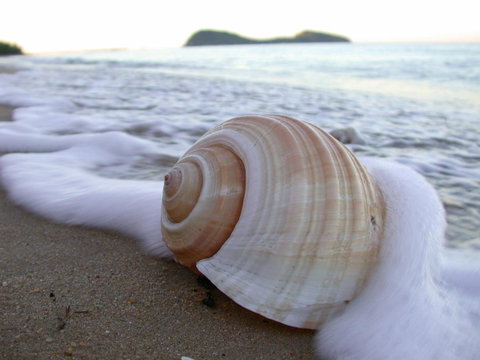 Argosy On The Beach - Hotel NSW 18