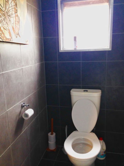 XYL Pets Friendly Seaside Boutique Guesthouse - Hotel NSW 5