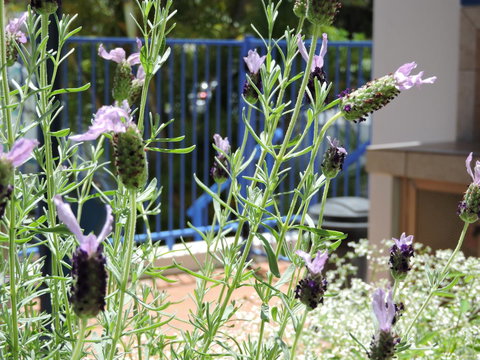 Surfers Beach Resort One - Hotel NSW 0