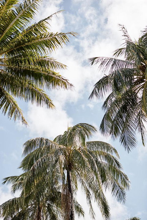 Novotel Cairns Oasis Resort - Hotel NSW 9