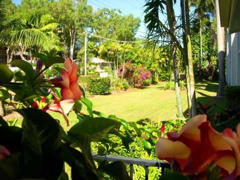 Clifton Sands Holiday Units - Hotel NSW 38