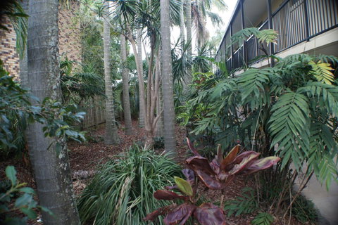Best Western Airport 85 Motel - Hotel NSW 34