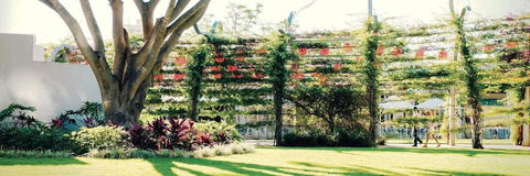 Vine Apartments South Brisbane - Hotel NSW 19