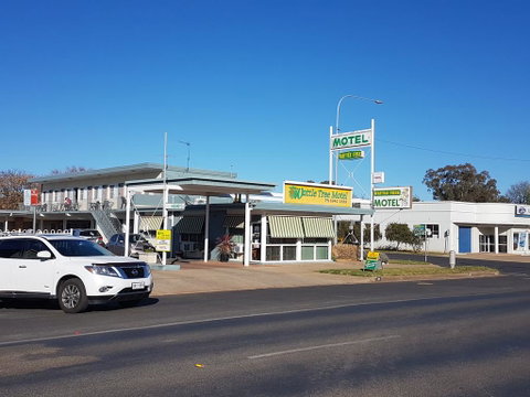 Wattle Tree Motel - Hotel NSW 0
