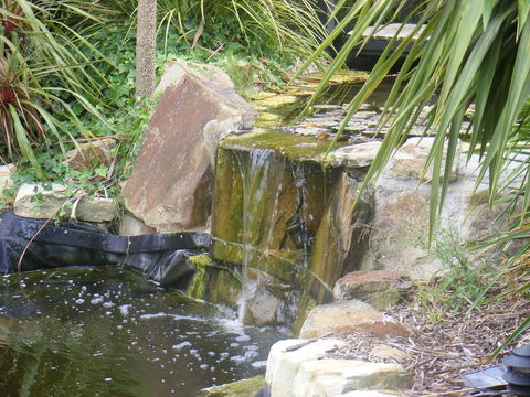 Weeroona Bed And Breakfast - Hotel NSW 2