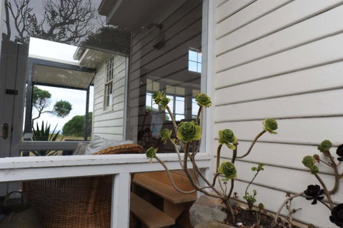 White Shell Cottage - Hotel NSW 3
