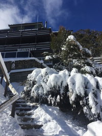 Book Thredbo Accommodation Vacations Hotel NSW Hotel NSW