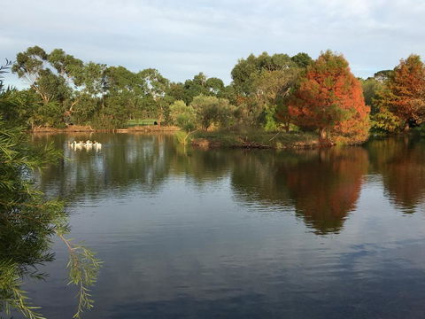 Wonderland Hobby Farm - Hotel NSW 2