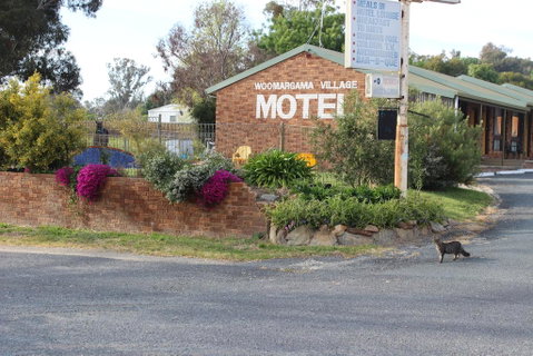Woomargama Motel - Hotel NSW 3