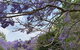 Wyndover Mountain Retreat - thumb 1