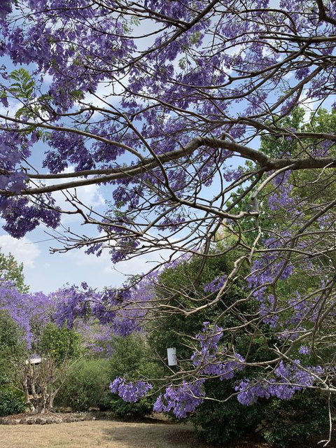Wyndover Mountain Retreat - Hotel NSW 1