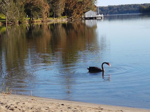 Wyreepi River Cottage - Hotel NSW 3
