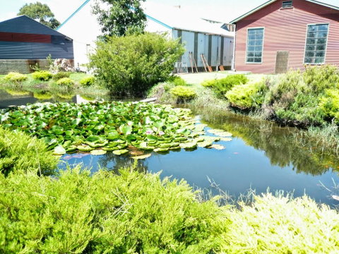 Yarragon Dairy Family Room - Hotel NSW 1