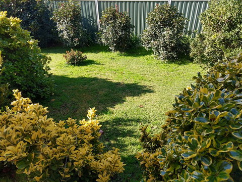 Young Goldrush Motel - Hotel NSW 3