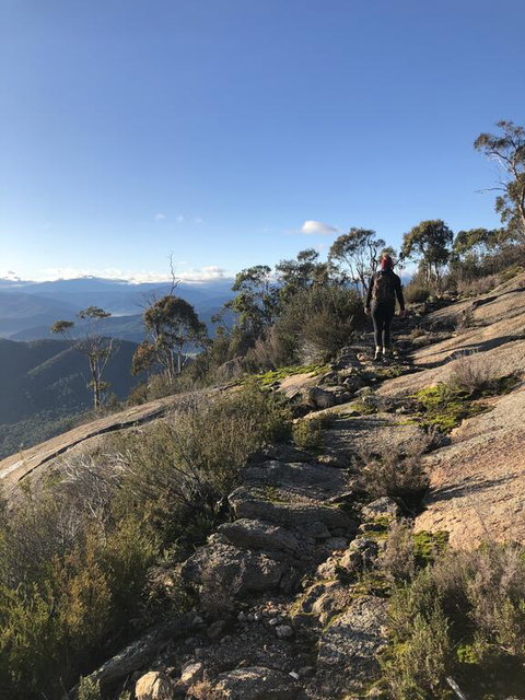 Yours And Theirs Pet Friendly Accommodation - Hotel NSW 0