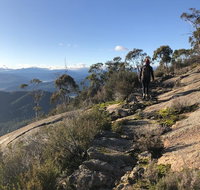 Yours and Theirs Pet Friendly Accommodation - Hotel NSW