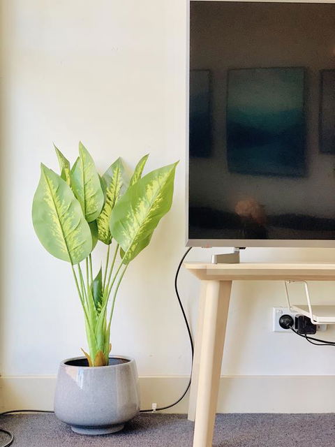 ZEN Homes On Collins - Hotel NSW 3