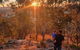 A Stanthorpe Getaway - thumb 3