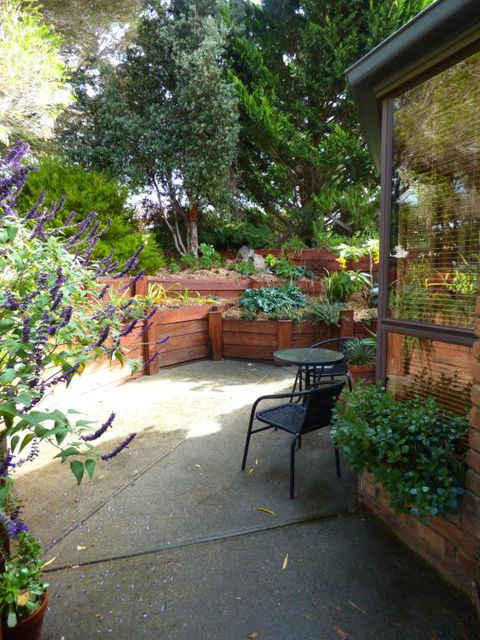 A Suite Spot In The Hills - Hotel NSW 4
