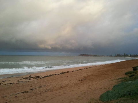 Absolute Beachfront 2BR Pet-Friendly Terrace - The Coachhouse - Hotel NSW 3
