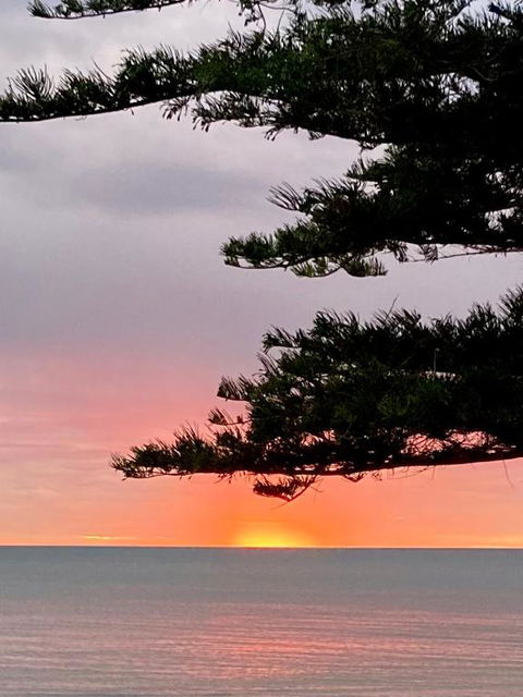 Absolute Beachfront Apartment, Amazing Sunsets - Hotel NSW 2