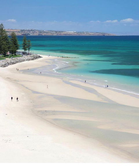 Absolute Beachfront Apartment, Amazing Sunsets - Hotel NSW 1