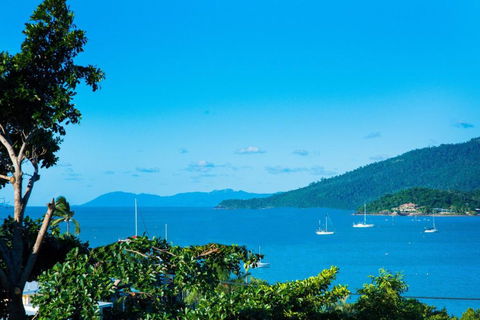 Airlie Bay View - Hotel NSW 2