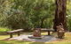 Algona Views - thumb 1