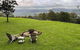 Altitude Kangaroo Valley - thumb 3