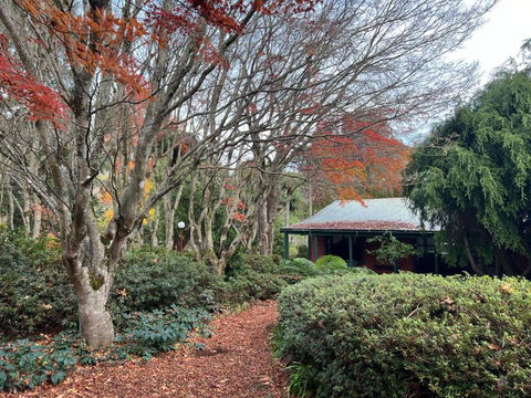 Amaroo Guesthouse - Hotel NSW 1
