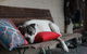 Avoca Park Equestrian Farmstay - thumb 3