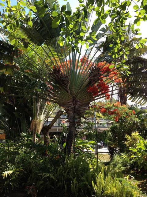 Port Douglas Apartments - Adults Only Oasis - Hotel NSW 39